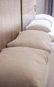 Туры в отель Ecomotel Kempton Park