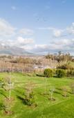 Туры в отель Sunset Farm Stellenbosch