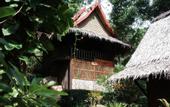 Туры в отель Phi Phi Relax Resort