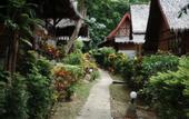 Туры в отель Phi Phi Relax Resort