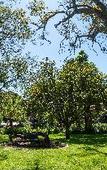 Туры в отель Emmarentia Guest house