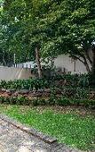 Туры в отель Emmarentia Guest house