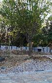 Туры в отель Aqua Guest House