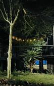 Туры в отель Natures Green Resort and Spa