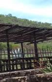 Туры в отель Natures Green Resort and Spa