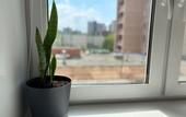Туры в отель На Ботанической 3 (Петергоф)