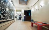 Туры в отель Phillips Club