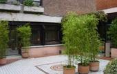 Туры в отель La Posada de El Chaflan