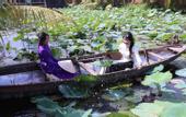 Туры в отель Phu Thinh Boutique Resort & Spa