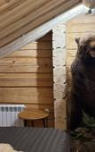 Туры в отель Усадьба Ладога Лункулансаари