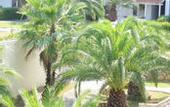 Туры в отель Cora Hotel & Spa Resort