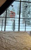 Туры в отель Алтай Форест Глэмп