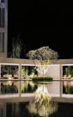 Туры в отель The Uechao Hotel Riyuebay