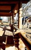 Туры в отель Синяя Питица