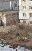 Туры в отель На Первомайской 1А