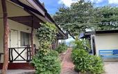 Туры в отель Sea Breeze Bungalow
