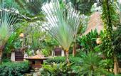 Туры в отель Pimalai Resort & Spa