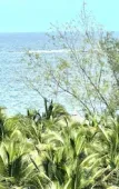 Туры в отель Moc Lam Homestay Grandworld Phu Quoc