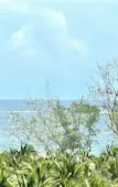 Туры в отель Moc Lam Homestay Grandworld Phu Quoc