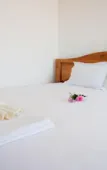 Туры в отель Viet's Hotel