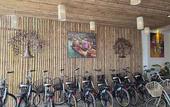 Туры в отель Wild Orchid Villa Krabi