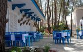 Туры в отель Pine Valley