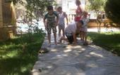 Туры в отель Pine Valley