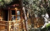 Туры в отель Pine Valley