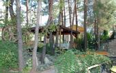 Туры в отель Pine Valley