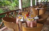 Туры в отель Pinewood Village Kenya