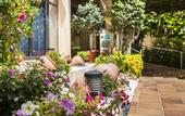 Туры в отель Globales Pionero Santa Ponsa Park