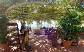 Туры в отель Pirate's Beach Club