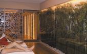 Туры в отель Piril Hotel Thermal & Beauty Spa
