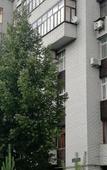 Туры в отель Тайм хаус на Николая Ершова 57Б