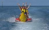 Туры в отель Plantation Island Resort