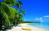 Туры в отель Plantation Island Resort