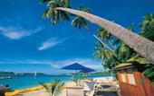 Туры в отель Plantation Island Resort