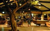 Туры в отель Plantation Island Resort