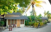 Туры в отель Plantation Island Resort