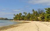 Туры в отель Plantation Island Resort