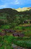 Туры в отель KEMA Merbabu powered by Cocotel