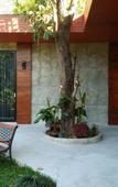 Туры в отель Bhupimarn Garden House