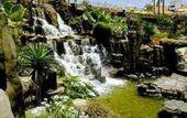 Туры в отель Landmar Playa La Arena