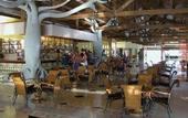 Туры в отель Playa Pesquero
