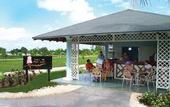 Туры в отель Playa Pesquero
