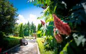 Туры в отель Arkutino Family Resort