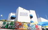 Туры в отель Playaflor Chill-Out Resort