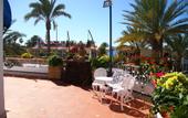 Туры в отель Playaflor Chill-Out Resort