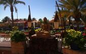 Туры в отель Playaflor Chill-Out Resort