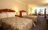 Туры в отель Renaissance Polat Istanbul Hotel